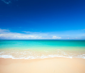 Fototapeta premium beach and tropical sea