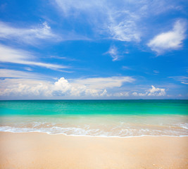 beach and tropical sea