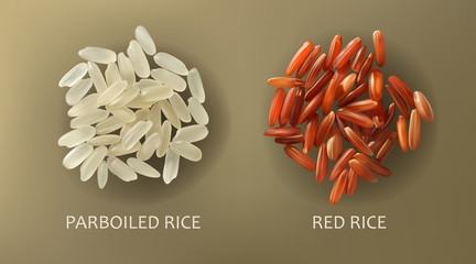 Two handfuls of white parboiled and red cargo rice, isolated on a brown background, realistic vector. Healthy diet, vegetarian food, design element