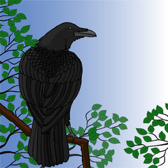 Vector illustration. Black crow sitting on a tree with branches and leaves.