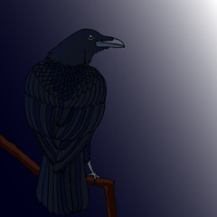 Vector illustration. Raven sitting on a branch.