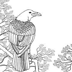 Vector illustration. Raven sitting on a tree with branches and leaves. Black and white illustration for coloring.