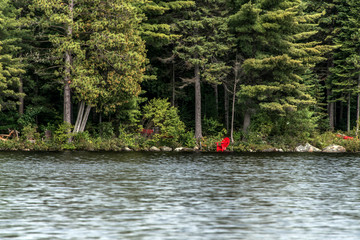 red relax chair in Canada Ontario Lake of two rivers natural wild landscape near the water in Algonquin National Park