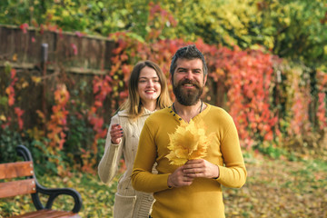 autumn happy couple in love with yellow tree leaves