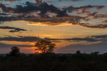 Fototapeta na wymiar Sonnenuntergang und Gewitterwolken über der Serengeti - Tansania