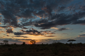 Fototapeta na wymiar Sonnenuntergang über der Serengeti - Tansania - Afrika