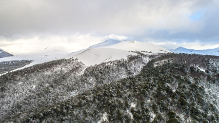Corralco Chile Storm During Winter Araucaria Forest
