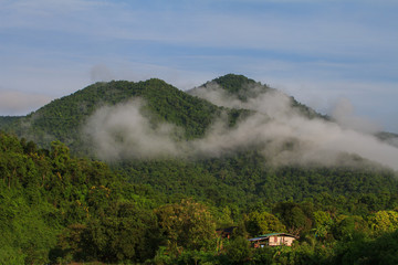 Fototapeta premium sea of fog with forests as foreground