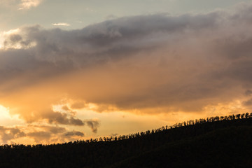 A long line of trees on a hill against a beautiful, warm sky at sunset