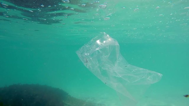 Plastic bag floating in the ocean