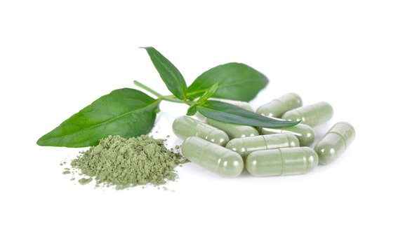 fresh kariyat leaves, ground and capsule herb on white background