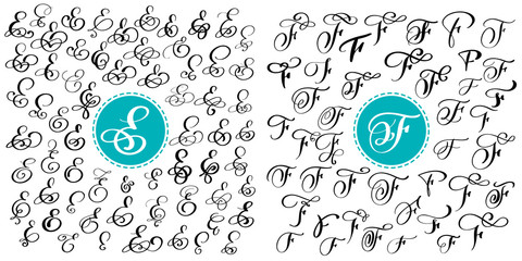 Set letter E, F. Hand drawn vector flourish calligraphy. Script font. Isolated letters written with ink. Handwritten brush style. Hand lettering for logos packaging design poster.