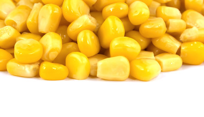 Sweet corn isolated on white background