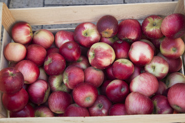 Red Apples for sale on Market Stall; Bordeaux