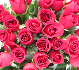Red roses