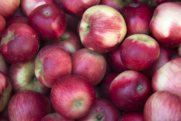 Red Apples for sale on Market Stall; Bordeaux