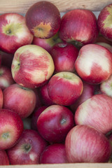 Red Apples for sale on Market Stall; Bordeaux