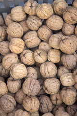 Walnut for Sale on Market Stall
