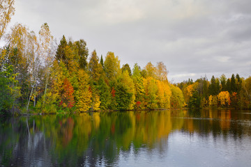 Autumn. Reflection of trees in water