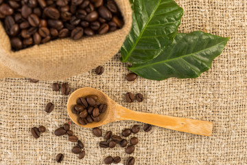 Top view of coffee beans and leaves on jute