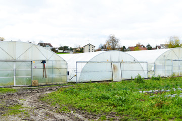 Domed greenhouse or tunnel in a farm in Switzerland..Industrial agriculture. Soilless cultivation of vegetables. Field of chives.