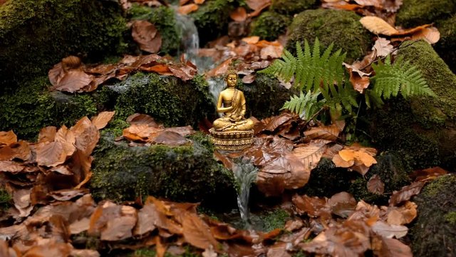 Quelle im Wald mit dem segnenden Buddha