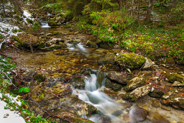 Mountain creek in Tatra mountains, Poland