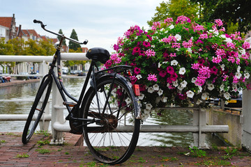 Fototapeta na wymiar Bicycles and flowers in Amsterdam