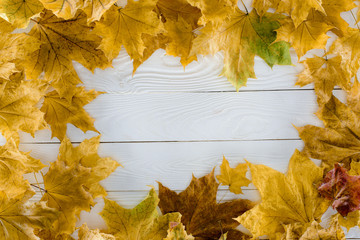 Naklejka na ściany i meble maple leaves on wooden surface