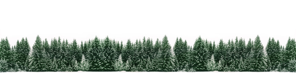 Panorama of spruce tree forest covered by fresh snow during Winter Christmas time. The winter scene is almost duotone due to contrast between the frosty spruce trees, white snow foreground and sky - Powered by Adobe
