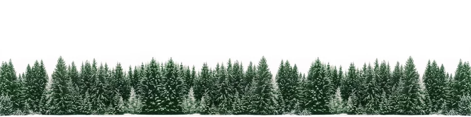 Panorama des Fichtenwaldes, der während der Winterweihnachtszeit von frischem Schnee bedeckt ist. Die Winterszene ist aufgrund des Kontrasts zwischen den frostigen Fichten, dem weißen Schnee im Vordergrund und dem Himmel fast zweifarbig © fewerton