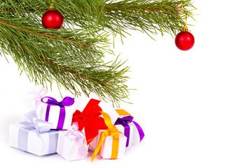 A set of Christmas gifts under fir branches on white background
