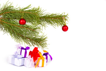 A set of Christmas gifts under fir branches on white background