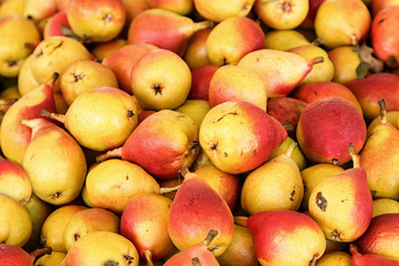Pere