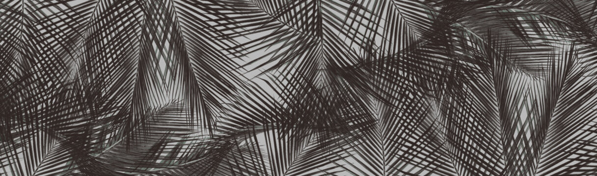 Tropical palm leaves