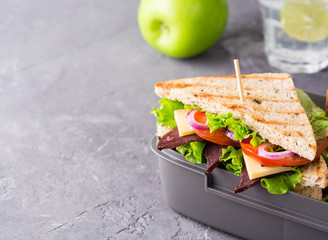 Lunch box with sandwich and apple .