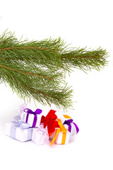 A set of Christmas gifts under fir branches on white background