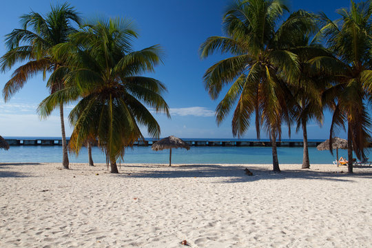 On the beach Playa Giron, Cuba.