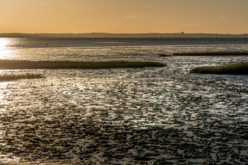 sunset at Audenge, Bassin d'Arcachon on the sea with low tide