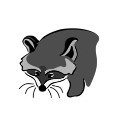 Pretty raccoon isolated on white background. Sketch raccoon face. Simple design for print.