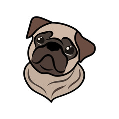 Cute pug vector sign for print. Hand drawn cartoon illustration isolated on white background.  Puppy image for children. Pug dog breed image in minimal style. Small dog face in flat style. 