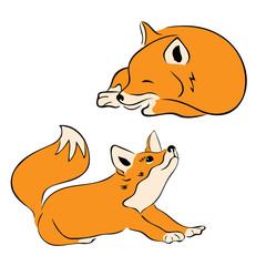 Amusing fox isolated on white background. Sweet  fox sign. Small nice animal. Simple design for tattoos or print. Hand drawn icon. Emblem for pet-shop. Fox stretch oneself.  Illustration for children.
