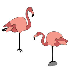 Flamingo illustration isolated on white background. Vector symbol of flamingo. silhouette. Minimal bird design in flat style. Sign, emblem or logo for zoo and park concept icon. Pink flamingo. 