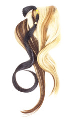 Real woman hair texture. Human hair weft, Dry hair with silky volumes. Real european human hair wallpaper texture. Brown blond dark blonde and black. Photo.