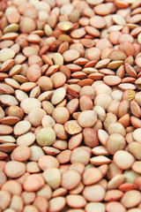 Eating lentil texture. Lentils pattern as background. Studio photo.