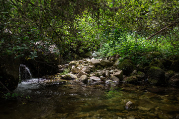 Naklejka na ściany i meble river in forest mountains