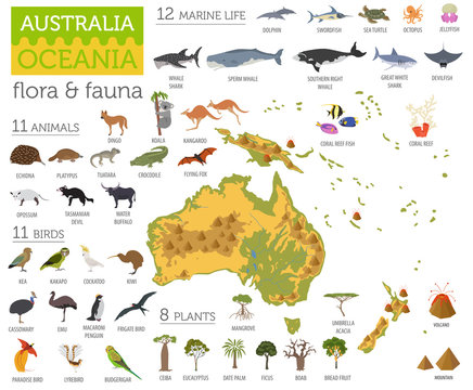 Australia And Oceania Flora And Fauna Map, Flat Elements. Animals, Birds And Sea Life Big Set. Build Your Geography Infographics Collection