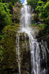 Fototapeta premium Wasserfall nahe Hana auf Maui, Hawaii, USA.