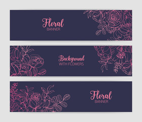 Collection of horizontal floral banners with gorgeous blooming rose flowers and leaves hand drawn with pink contour lines on dark background. Beautiful botanical vector illustration for advertisement.