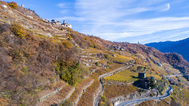 Agricolture in Valtellina. Panoramic view